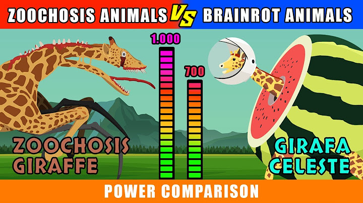 Zoochosis Animals vs Brainrot Animals Power Comparison | Animal Animation