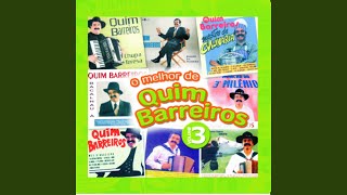 Video thumbnail of "Quim Barreiros - Os buracos"