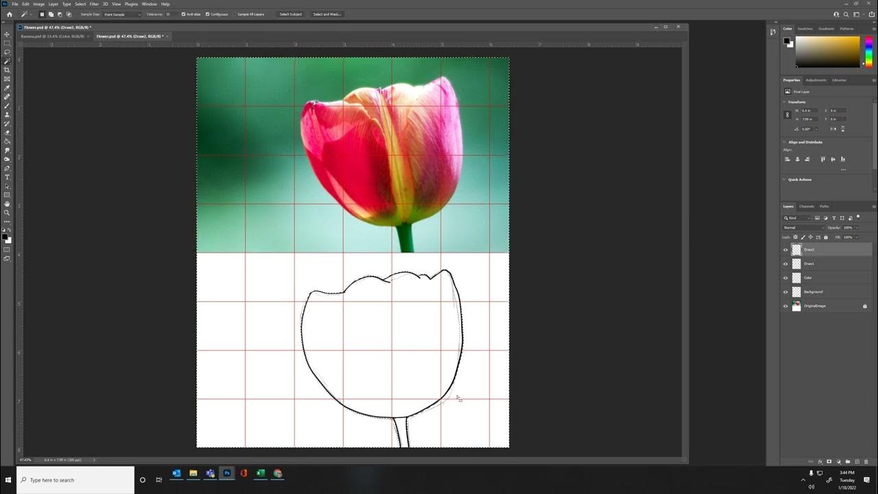 Painting a Flower in YouTube