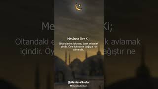 Mevlana Der Ki