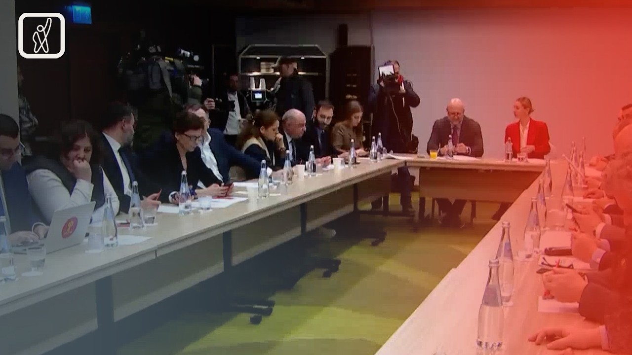 პოლიტიკური გაერთიანების აკრძალვის საქმე