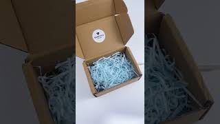 Snake Chain Necklace