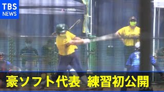 豪ソフト代表チーム 練習を初公開
