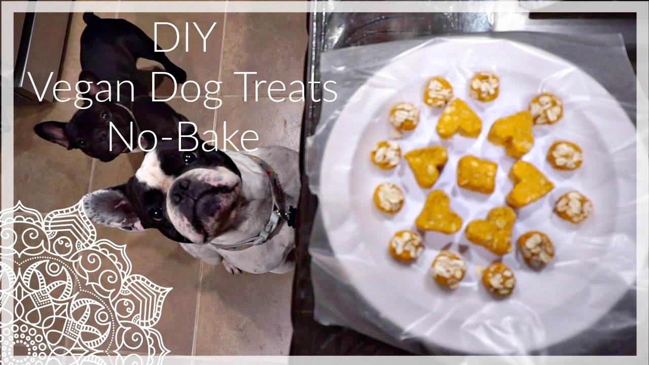 DIY Peanut Butter Yams and Oats Vegan Dog Treats NoBake YouTube