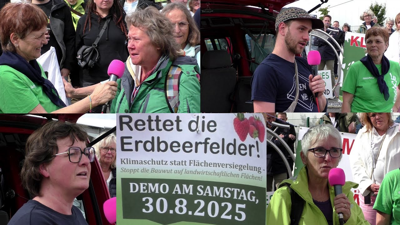 Rettet die 🍓 Erdbeerfelder 🍓