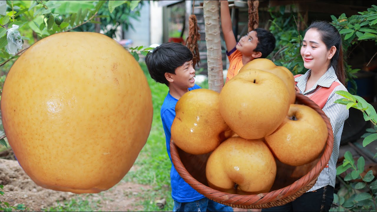 Pears fruit cook soup recipe in my homeland Fruit cook and drinking Fresh pears fruit juice