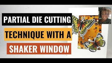 🔴 Butterfly  Shaker  Window  with Partial  Die  Cutting  Technique