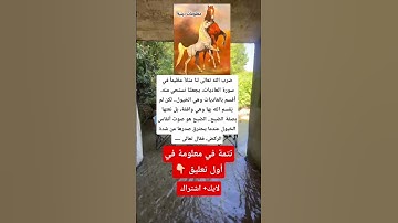 ضرب الله تعالى لنا مثلاً عظيماً في سورة العاديات، يجعلنا نستحي منه،  أقسم بالعاديات وهي الخيول ولكن