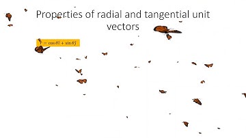 Exposing the Mystery: Linear and Angular Correlation
