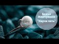 7. Песня "Научи петь" ~ "Божья жемчужина"