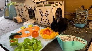 Bunny Rabbit Castle House Tour