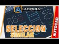SELECCION SIMILAR EN AUTOCAD | ACAESPACIOS