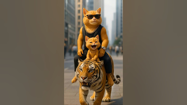 Poor Cats Got Bullied… Then Their Pet Turned Into KING KONG! 🦍🐱😱 #cat #kitten  #catstory