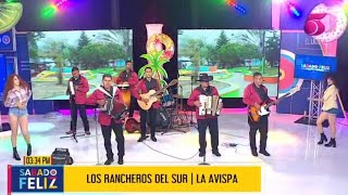 Los Rancheros Del Sur Hn Mix En Canal 5 Honduras