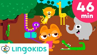 WILD ANIMAL SONGS FOR KIDS  + More Adventure Songs | Lingokids