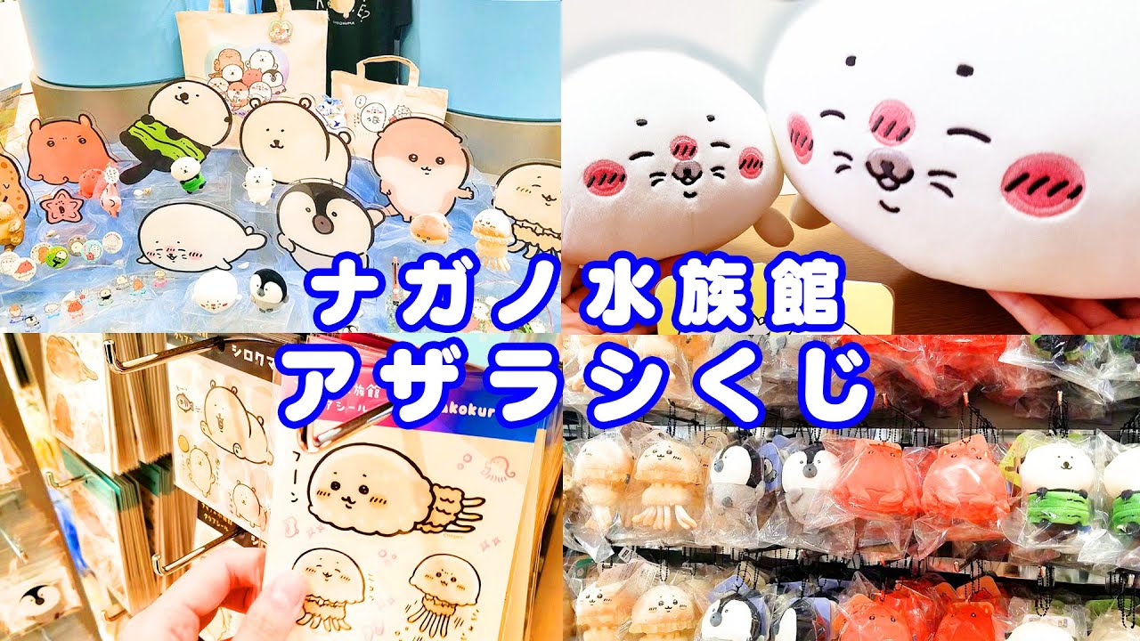 【ナガノ】アザラシぬいぐるみくじでまさかの奇跡！！