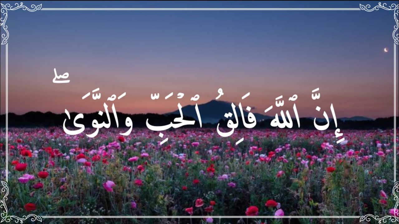 سورة الأنعام من الآية رقم 95 إلى الآية رقم 99 بصوت القارئ سعد الغامدي