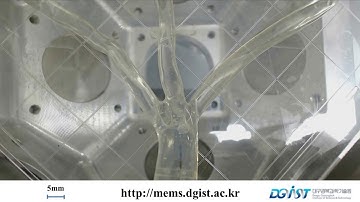 A Magnetically Controlled Soft Microrobot Steering a Guidewire