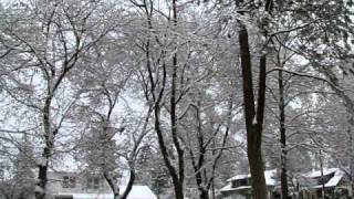Spokane Winter Wonderland Profile