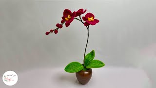 DIY Flower - How to make a Phalaenopsis orchids with Pipe cleaner ( chenille )#hmstation