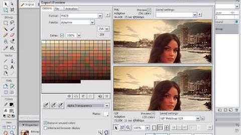 Lesson: "save png8" - in Macromedia FireWorks 7 MX2004 (flv)
