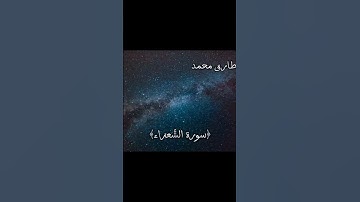 ﴿سورة الشعراء﴾ طارق محمد حالات واتس تلاوة قرآن