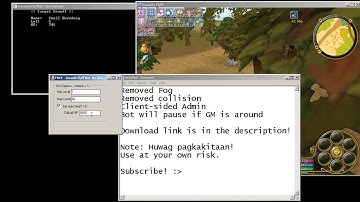 Free - Insanity Flyff Bot - Updated Feb. 19
