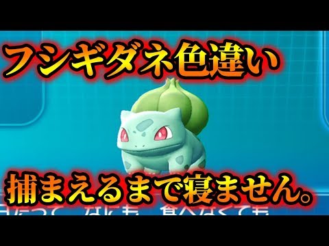 ポケモンレッツゴー ヒトカゲ色違い出るまで寝れません Let S Go ピカチュウ イーブイ Youtube