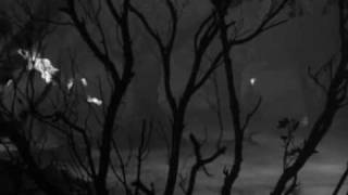 Lanterna - Fog