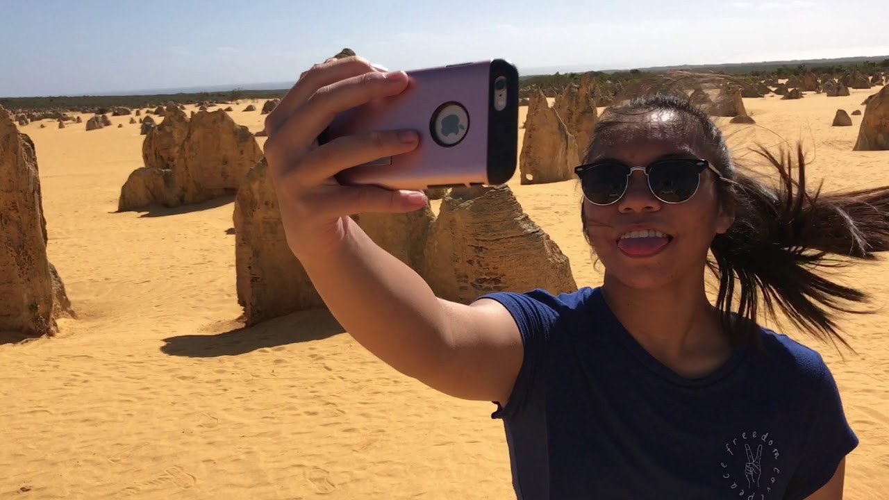 The Pinnacles Desert