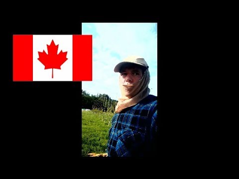 فيديو: كيف أثر اندفاع الذهب على كندا؟