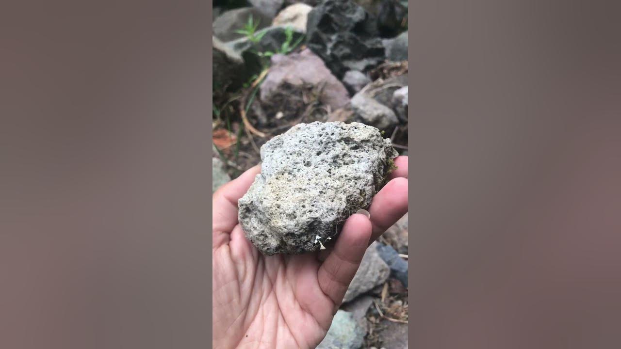 Mt. Shasta Volcanic Pumice Stone