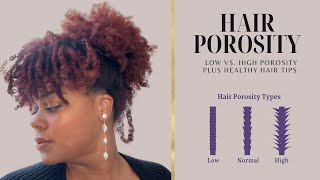 LOW VS. HIGH POROSITY HAIR EXPLAINED | HEALTHY NATURAL HAIR TIPS Low Prosperity Hair Vs High