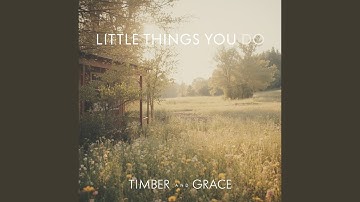 Little Things You Do