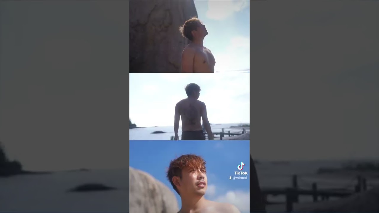 หมาโกลเด้น พาดำน้ำ เกาะเต่า #อาสาพาไปหลง ฝากตาม tiktok อาสาพาไปหลง @wahncai ด้วยจ้า ทำกับเค้าสักที