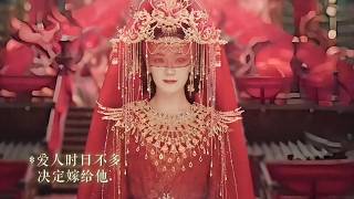 《白日提灯》大结局：段胥贺思慕大婚！段胥捏碎福花，原来，这才是用命给贺思慕的嫁妆真相。晏柯至死才懂，争了三百年权力，不如一句不想你死