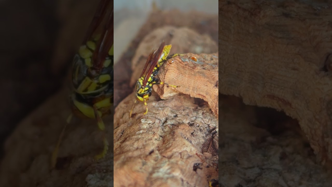 Find a good spot and get ready to sleep.