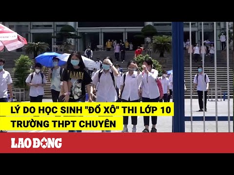 Video Lý do học sinh 