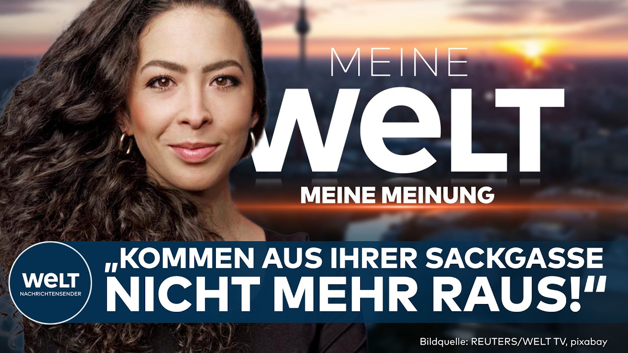 MEINUNG: „Brandmauer funktioniert nicht“ | Anna Schneider rechnet mit der AfD-Strategie ab