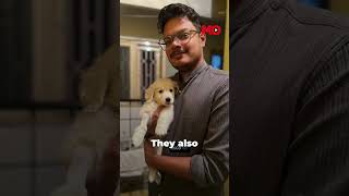 Techie's Suicide Note Accuses RSS Of Sexual Abuse | Mo of Everything