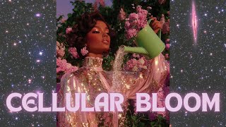 Cellular Bloom | Afro House & Chicago House Fusion