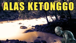 Heboh Pendanakan Dikali Tempur Alas Ketonggo  Petilasan Prabu Brawijaya