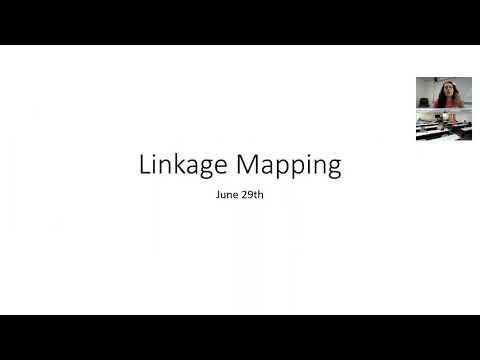 Week 6 - Linkage Mapping - YouTube