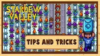 Lp series:
https://www./watch?v=d2lv275oufy&list=plw1szs7vdhsbemqcjruh8-tiwanlmxpke
planting wild seeds in winter can yield a lot of money. i demo...