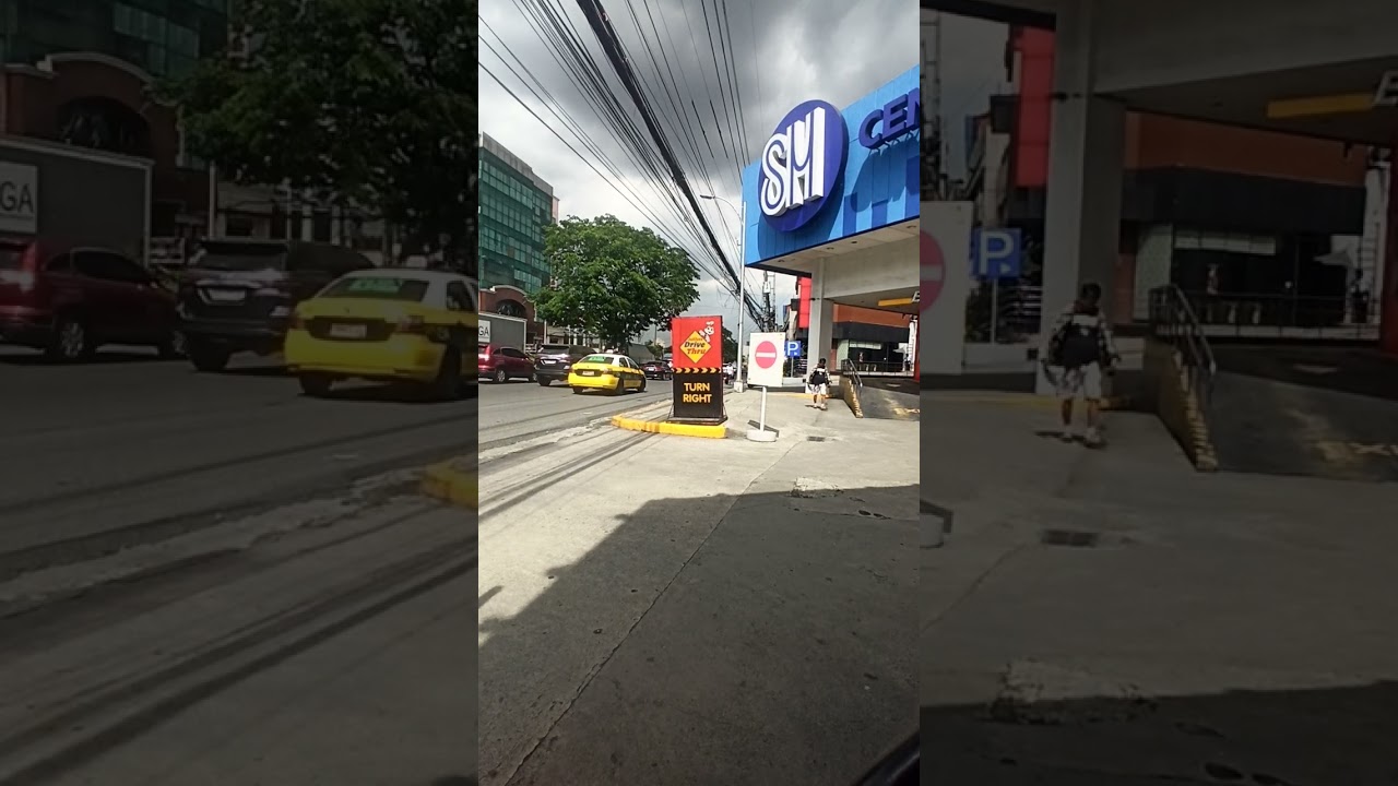 Sm Cherry Congressional