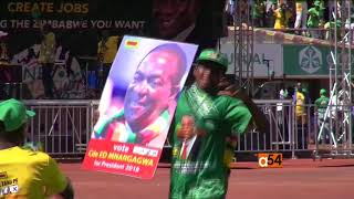 Zimbabwe Election Petition