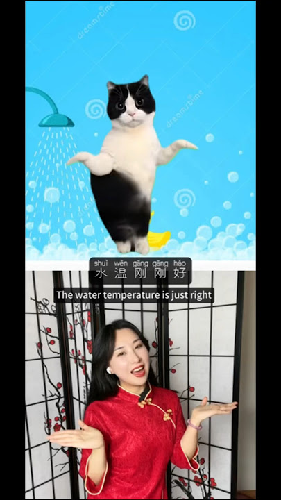 Let’s dance with cat 🐈‍⬛ today! #lol #language #learnchinese #china #chinese #chineseteacher