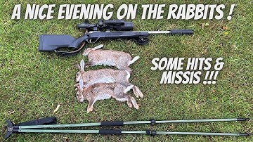 Rabbit Control...Finally a break in the weather...some Hits & Missis !