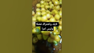 تلاوة ة ماشاء الله تهز النفوس وتقشعر لها الابدان اكسبلور