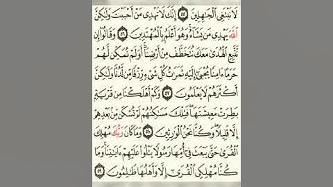 إنك لا تهدي من احببت..ايات من سورة القصص بصوت محمد خيري